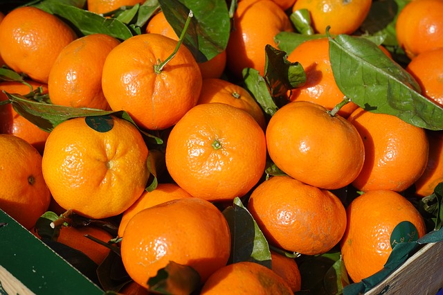 clementines-318210_640